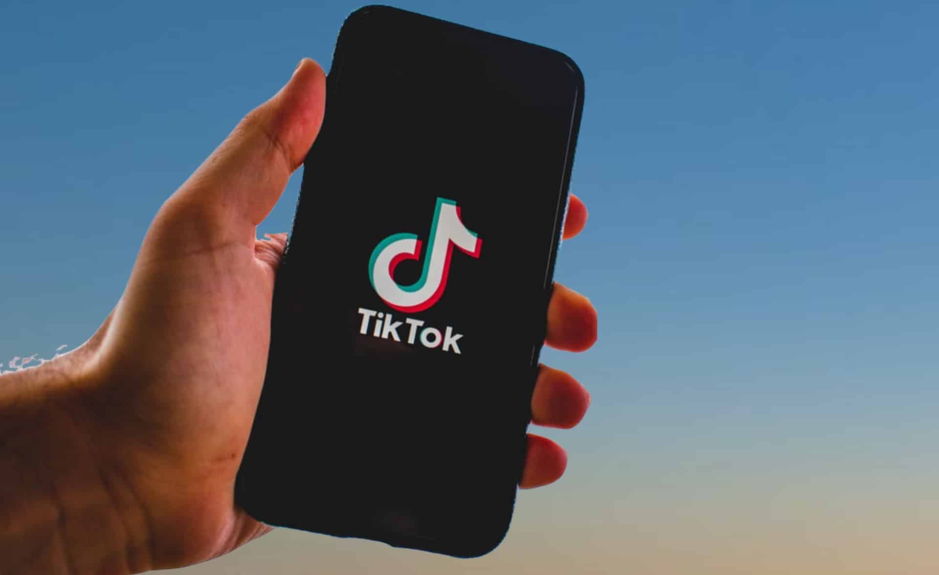 Spotting Red Flags: Signs of TikTok Fraud and How to Stay Safe